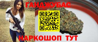 сатива Кингисепп