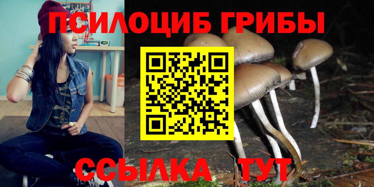 Красноуфимск  Псилоцибиновые грибы мухоморы  Псилоцибиновые грибы ЛСД  Вход с VPN 